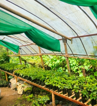 Untitled 338 x 367 px 1